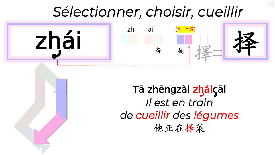 15b_HGC_TetesDeGroupe-PQRST