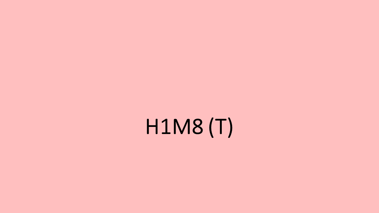 23_H1M-H2M8